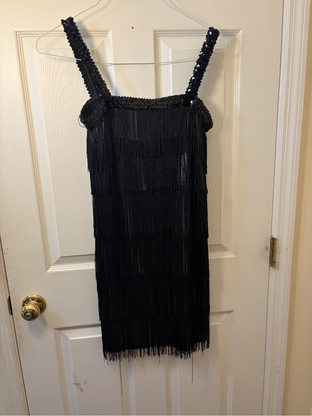 Black Sequin Fringe Mini Dress